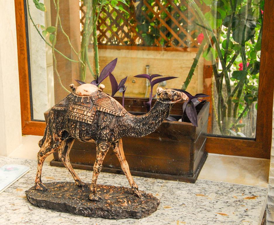 La Casa Primorsko Apartment Ngoại thất bức ảnh